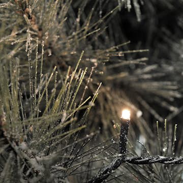 Ljusslinga Konstsmide 40 st Mikro LED