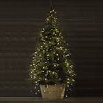 Ljusslinga Markslöjd Smart