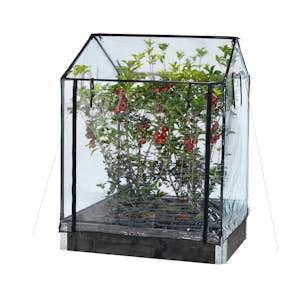 Drivhus Hortus Transparent Plast, Passar till Odlingskrage - 80x120cm, Höjd 110/130 cm