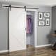 Ladugårdsdörr Mirror Line Loft Vit