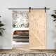 Ladugårdsdörr Mirror Line Loft Obehandlad