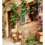 Tapet Dimex Street Garden