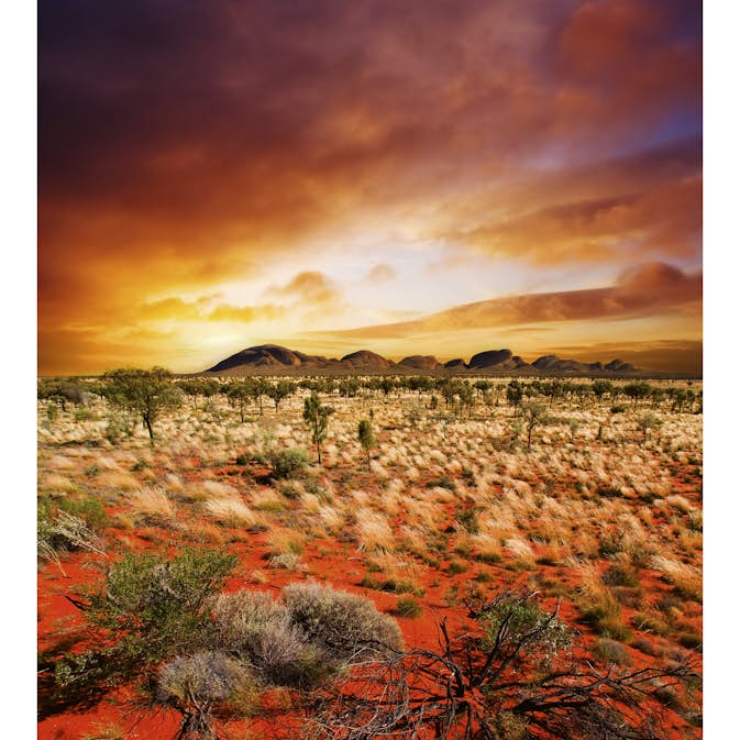 Tapet Dimex Australian Landscape