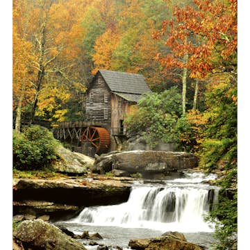 Tapet Dimex Grist Mill