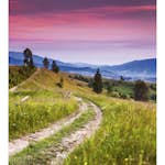 Tapet Dimex Blooming Hills