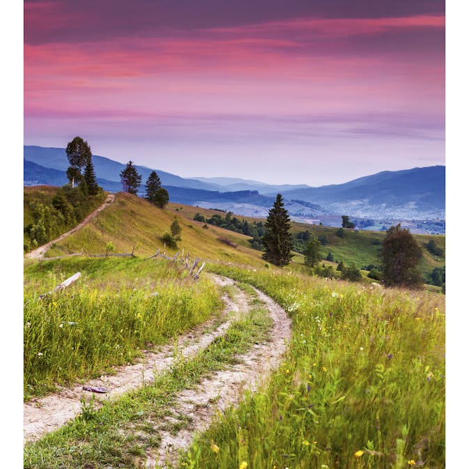 Tapet Dimex Blooming Hills