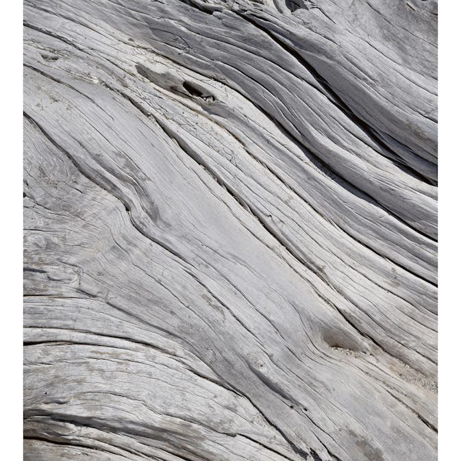 Tapet Dimex Tree Texture