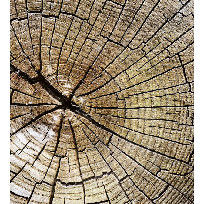 Tapet Dimex Wood