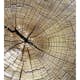 Tapet Dimex Wood