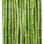 Tapet Dimex Bamboo