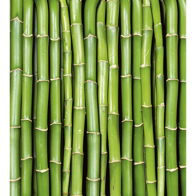 Tapet Dimex Bamboo