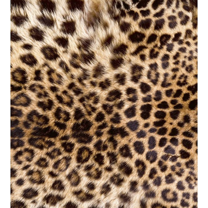 Tapet Dimex Leopard