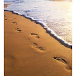 Tapet Dimex Footsteps