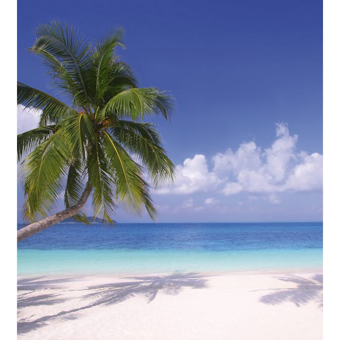 Tapet Dimex Beach