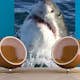 Tapet Dimex Shark