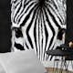 Tapet Dimex Zebra