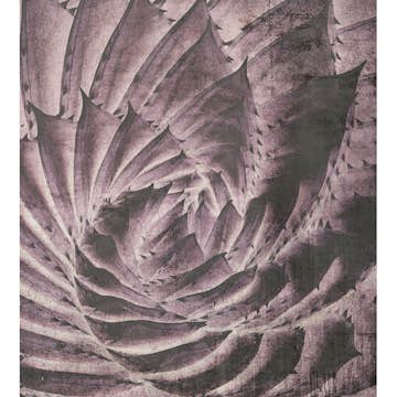 Fototapet Dimex Cactus Abstract