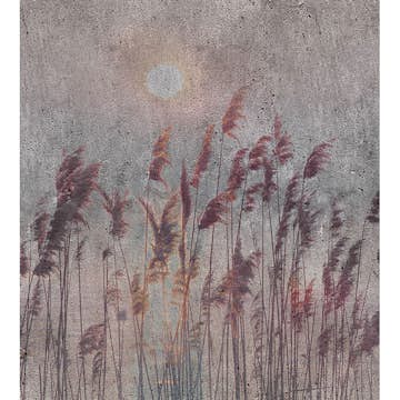 Fototapet Dimex Reed Abstract