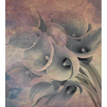 Fototapet Dimex Flower Abstract I