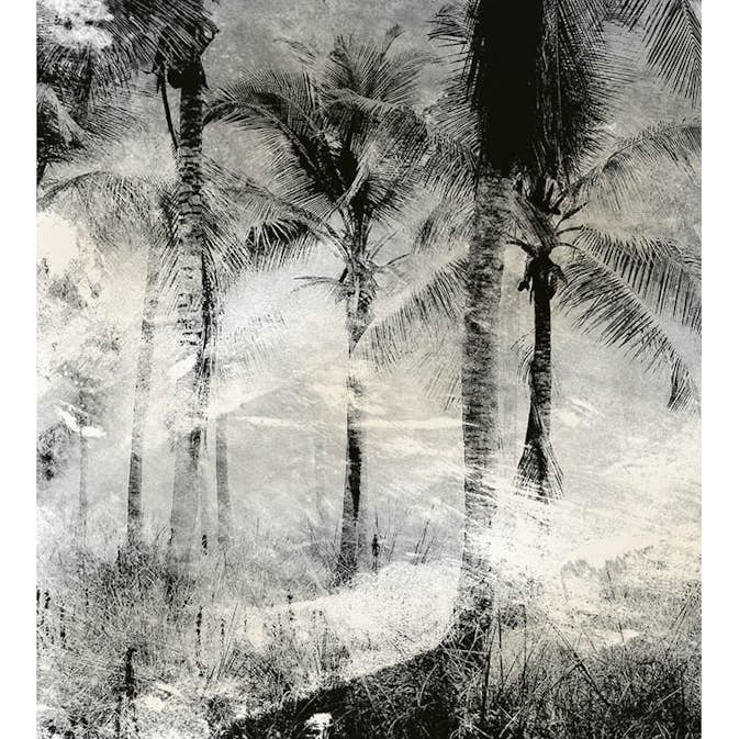 Fototapet Dimex Palm Trees Abstract