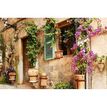 Tapet Dimex Street Garden