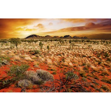 Tapet Dimex Australian Landscape