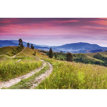 Tapet Dimex Blooming Hills