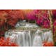 Tapet Dimex Rain Forest