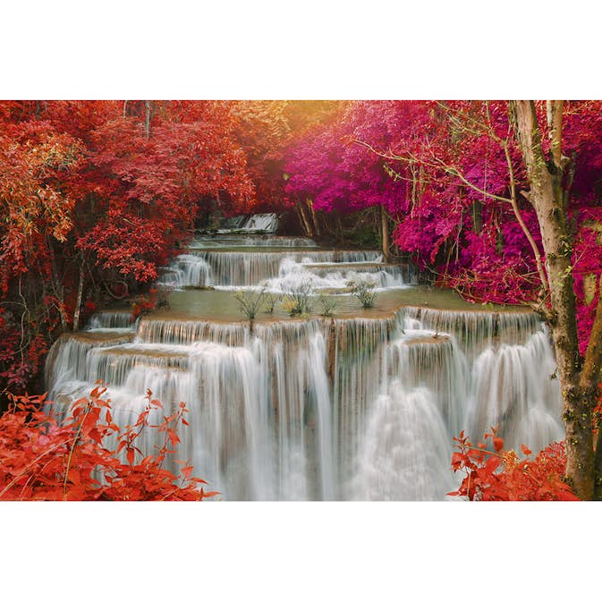 Tapet Dimex Rain Forest