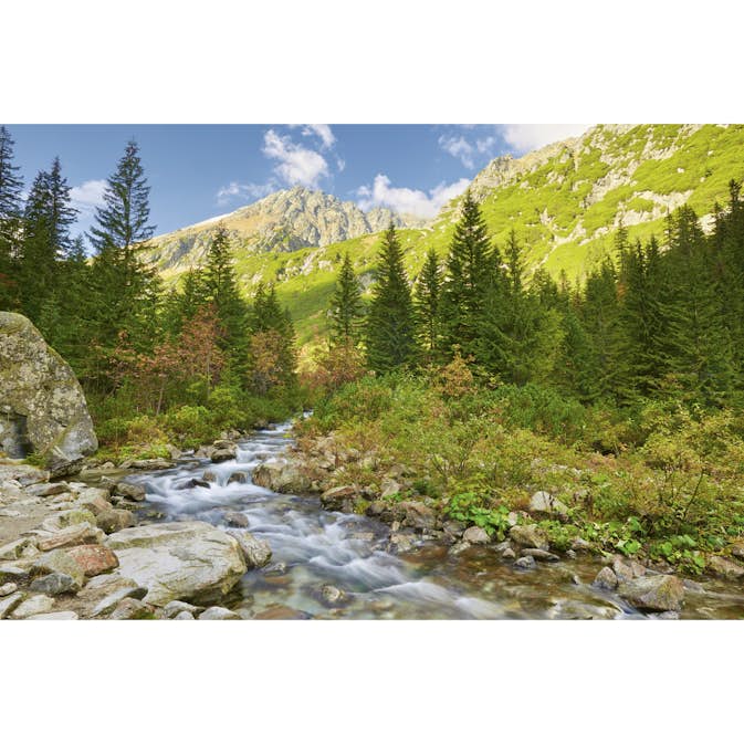 Tapet Dimex Valley