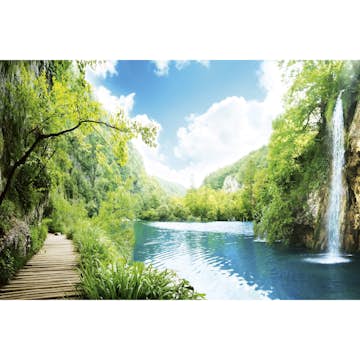 Tapet Dimex Relax in Forest