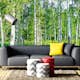 Tapet Dimex Birch Grow