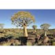 Tapet Dimex Namibia