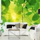 Tapet Dimex Green Leaves