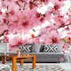 Tapet Dimex Apple Blossom