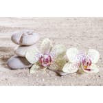 Tapet Dimex Zen Balance