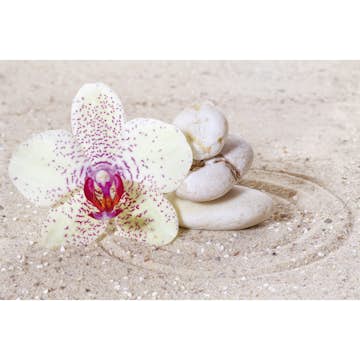 Tapet Dimex Relaxation Sand