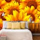 Tapet Dimex Helianthus