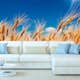 Tapet Dimex Wheat Field