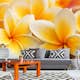 Tapet Dimex Plumeria