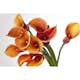 Tapet Dimex Calla