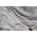 Tapet Dimex Tree Texture