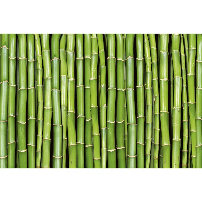 Tapet Dimex Bamboo