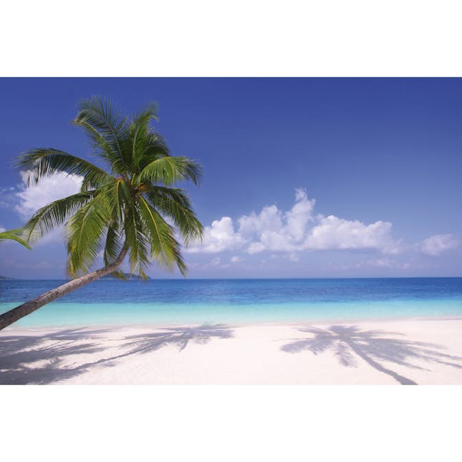 Tapet Dimex Beach