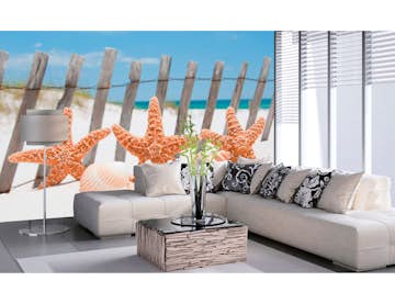 Tapet Dimex Starfish