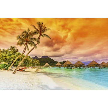 Tapet Dimex Polynesia