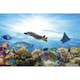 Tapet Dimex Fish