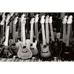 Tapet Dimex Guitars Collection
