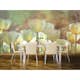 Fototapet Dimex White Tulips Abstract