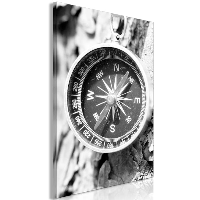 Tavla Arkiio Black and White Compass